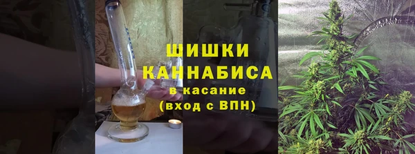 тгк Каменка